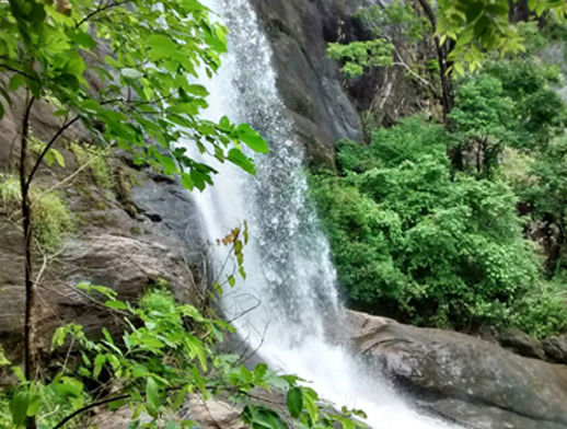 Palakuzhy Mini Hydro Electric Project